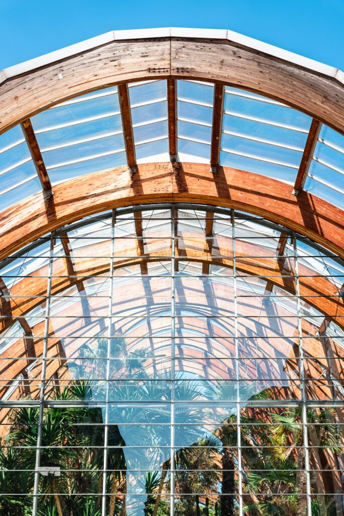 The arched wooden beams of Sheffield's winter garden are glowing in the sunshine.